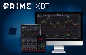 PrimeXBT Brazil App The Ultimate Trading Experience in Your Pocket