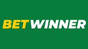 Explore the Exciting World of BetWinner Sportsbook