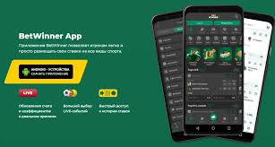 A Comprehensive Guide to the BetWinner Login Process 453251973