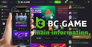 Explore the BC.Game Official Mirror List for Seamless Gaming Experience