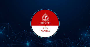 Understanding Interpol Red Notice Removal Procedures