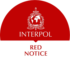 Understanding the Process of Interpol Red Notice Removal 1336047457