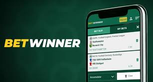 Bet on Poker with BetWinner A Comprehensive Guide -859290261